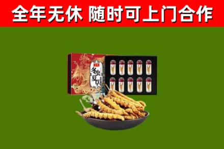 平泉市回收冬虫夏草价格