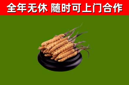 平泉市烟酒回收冬虫夏草.jpg